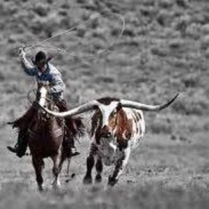 Meet your Posher, Jo